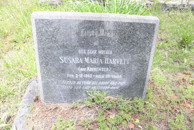 HARVETT Susara Maria nee KOEKEMOER -1943