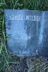 WILSON Thomas 1914-1950