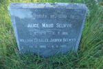 SELWYN William Charles Jasper 1880-1957 & Alice Maud 1876-1951