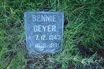 GEYER Bennie 1843-1981