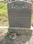 MARAIS David P. 1876-1959 & Maria E.G. DOORNBRACHT 1876-1955