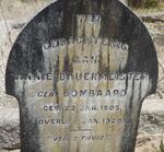 BAUERMEISTER Annie nee LOMBAARD 1905-1929