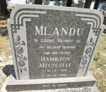 MLANDU Hamilton Mtutuzeli 1936-1989