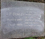 DOWLEY T.P. -1955