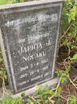 NGCAKU Japhta J. 1852-1919