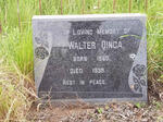 QINGA Walter 1860-1939