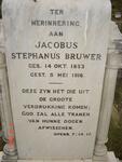 BRUWER Jacobus Stephanus 1853-1916