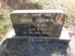 VOLKWYN Adam 1921-1977