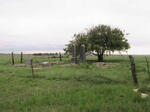 Gauteng, NIGEL district, Devon, Palmietkuil 322, farm cemetery