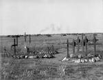4. Overview - cemetery in 1900's