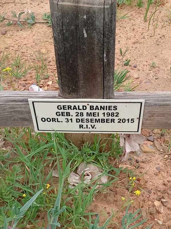 BANIES Gerald 1982-2015