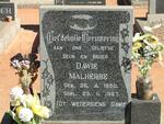 MALHERBE Dawie 1950-1967