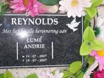REYNOLDS Lumé Andrie 2007-2007