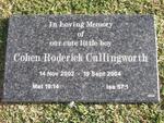 CULLINGWORTH Cohen Roderick 2002-2004