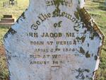 METTLER John Jacob 1954-1888