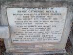 GLAESER Annie Catherine nee HEATLIE 1855-1882 :: GLEASER James 1881-1882 :: HEATLIE Catherine 1831-1898