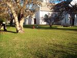 2. Church grounds