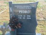 NEL Pedro 1948-2006