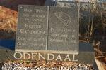 ODENDAAL Hester Catharina 1900-1994