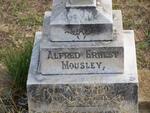 MOUSLEY Alfred Ernest 1903-1903