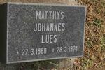 LUES Mathys Johannes 1960-1974