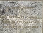 CARNELL Lily Stewart 1870-1938