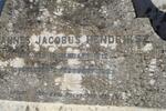 HENDRIKSZ Johannes Jacobus 1812-1883