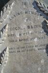 BRINK Dickie 1884-1895