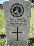 GALLANGHER A. -1914