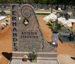 FERNANDES Antonio Jeronimo 1982-2006