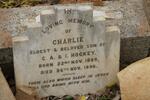 HOCKEY Charlie 1889-1896