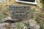 GAMMANDIEN Andries 1937-2003
