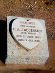 AGGENBACH H.A.J. nee WIESE 1867-1940