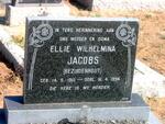 JACOBS Ellie Wilhelmina nee BEZUIDENHOUT 1912-1994