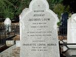 LOUW Adriaan Jacobus 1811-1877 & Charlotte Louise HEROLD 1819-1902