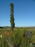 North West, POTCHEFSTROOM district, Rietfontein 441 IQ, farm cemetery_1