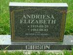 GIBSON Andriesa Elizabeth 1919-1984