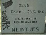 MEINTJES Gerrit Aveling 1946-1963