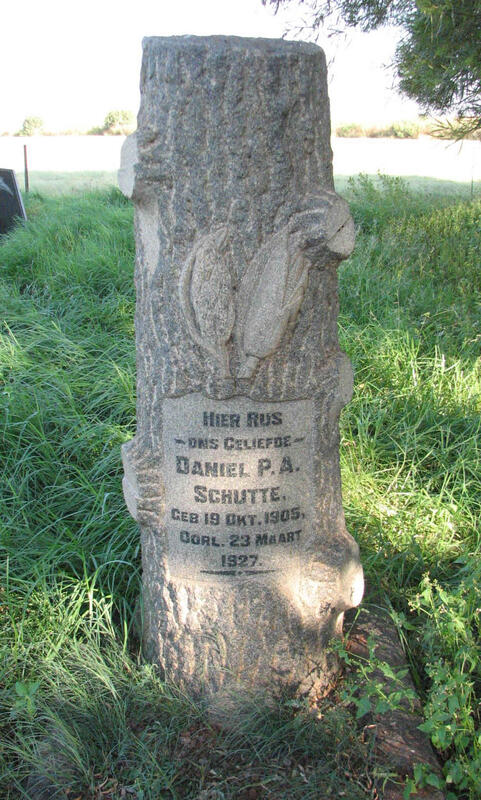 SCHUTTE Daniel P.A. 1905-1927