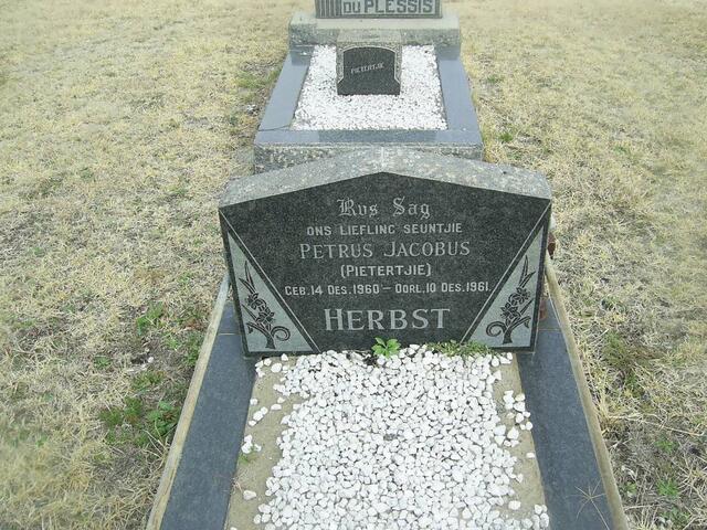 HERBST Petrus Jacobus 1960-1961