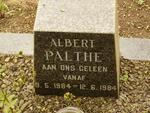 PALTHE Albert 1984-1984