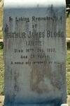BLOGG Arthur James -1933