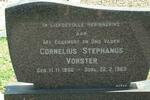 VORSTER Cornelius Stephanus 1900-1969