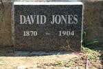 JONES David 1870-1904