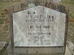 PLESSIS W.H., du 1873-1960 :: DU PLESSIS Willie 1900-1901