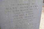 WARD Mary Jane -1860 :: WARD Anna -1961 :: WARD Henrietta -1861 