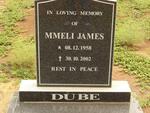 DUBE Mmeli James 1958-2002