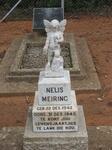 MEIRING Nelis 1942-1945