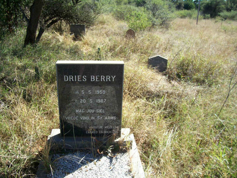BERRY Dries 1959-1987