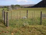 Western Cape, MOSSEL BAY district, Herbertsdale, Jakkalsvlei farm, farm cemetery